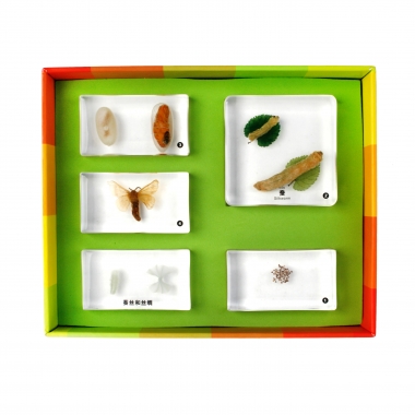 생태성장모형-누에