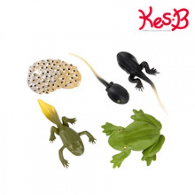 [캐스B] 네이처 성장과정피규어개구리(2772)