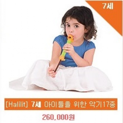 [할릴릿] 7세 악기세트17종 [음악/악기]