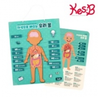 [캐스B]튼튼 자석으로배우는 우리몸(1679)