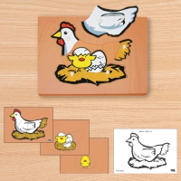 C0230 닭 성장 퍼즐 (3단 겹침)