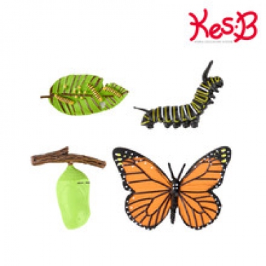 [캐스B]네이처 성장과정피규어나비(2769)